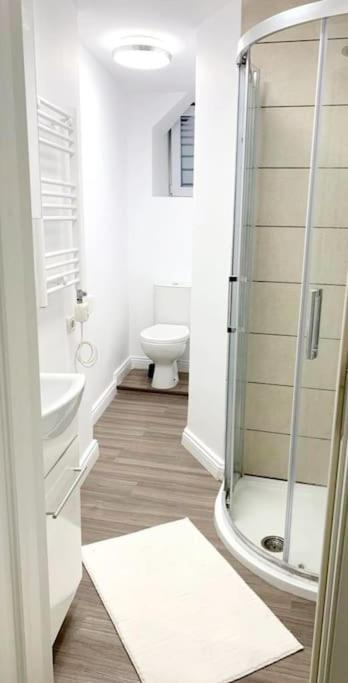 Central Studio Flat Bukareszt Zewnętrze zdjęcie
